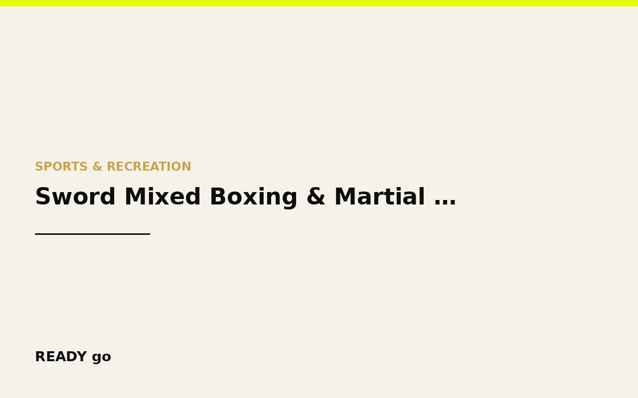 Sword Mixed Boxing & Martial Arts