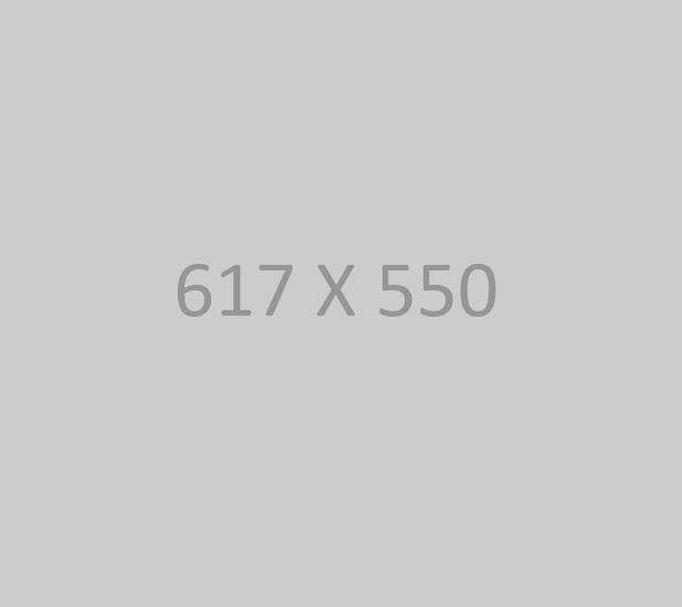 project2-img1