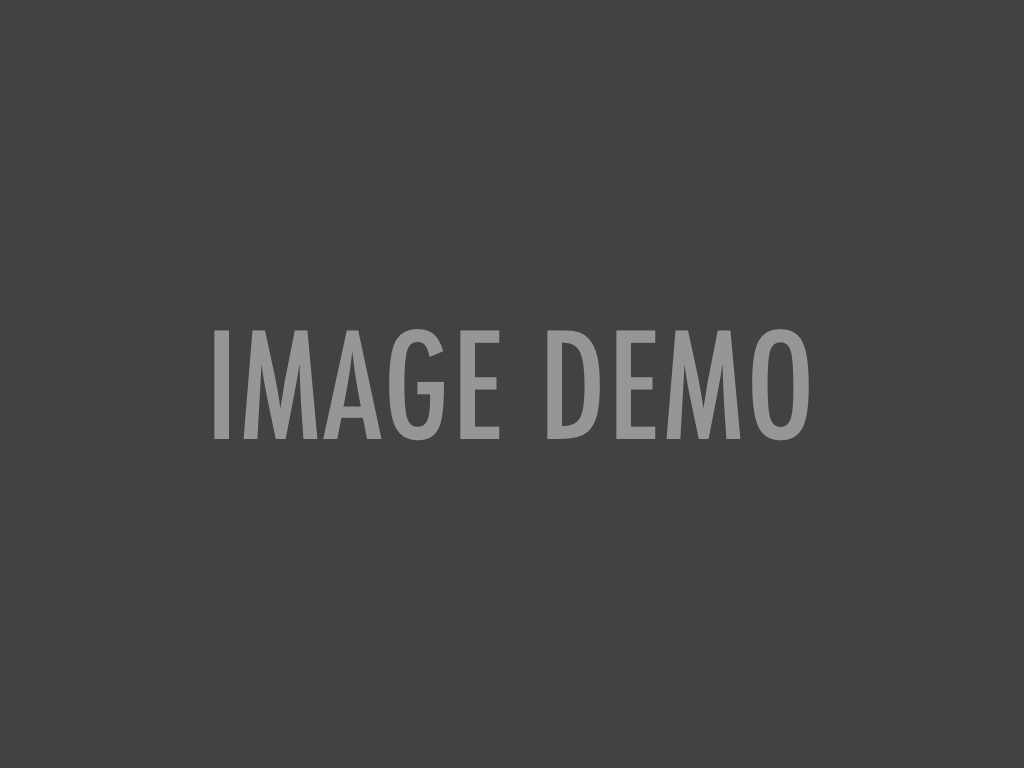 playmobil-765110_1920-e1433759402835 (1)